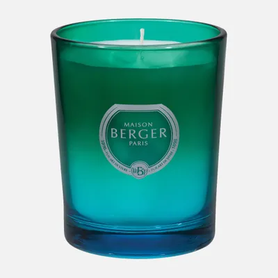 Zest of verbena scented candle by maison berger paris - blue green