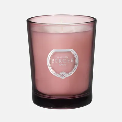Black angelica scented candle by maison berger