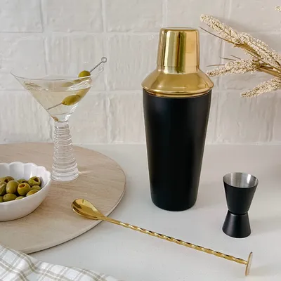 3-piece cocktail shaker by trudeau
