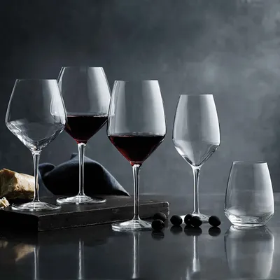 Atelier set of 2 barolo shiraz glasses by luigi bormioli - 28 oz