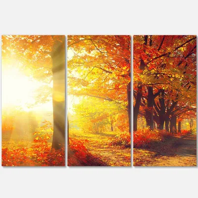 Autumnal trees in sunrays canvas wall art - 3 panels - red - 36"" x 28"" - 3 panels - canvas only