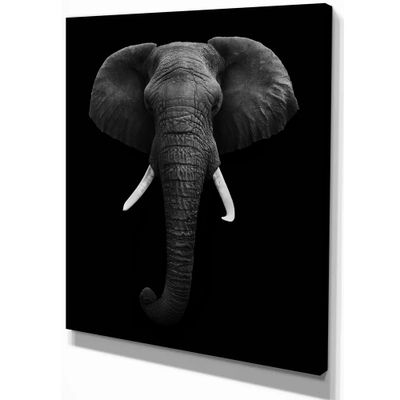 Toile « african elephant » - noir