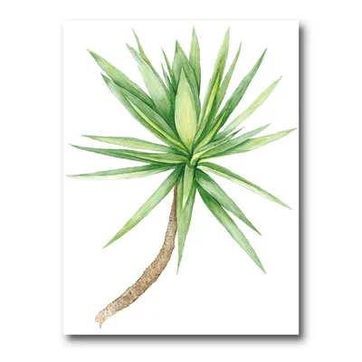 Detail of yucca tree canvas wall art print