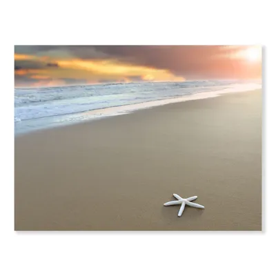 Starfish on a beach canvas wall art print - 20"" x 12"" - canvas only