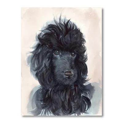 Toile imprimée « portrait of the black poodle puppy with curly coat »