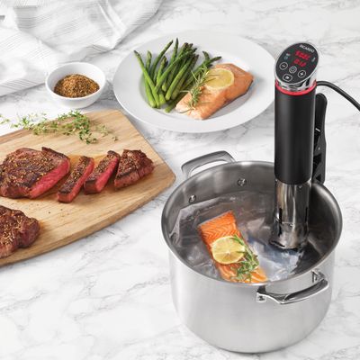 Ricardo sous-vide precision cooker with color changing led ring