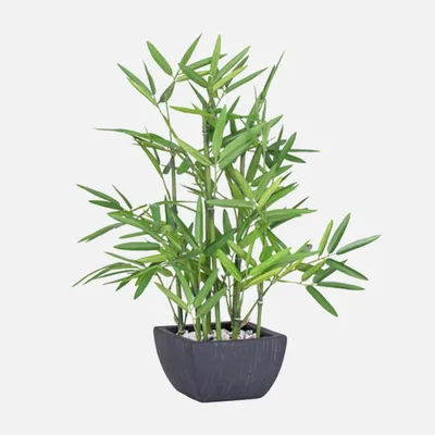 Bamboo faux potted plant by torre & tagus
