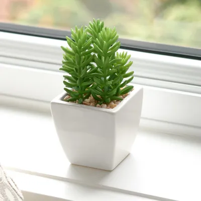 Jellybean mini faux succulent plant by torre & tagus