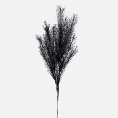 Black desert feather pampas by torre & tagus