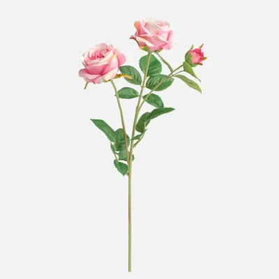 Pink crown rose 3-bloom stem by torre et tagus