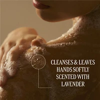 Lavender- Journey to Provence