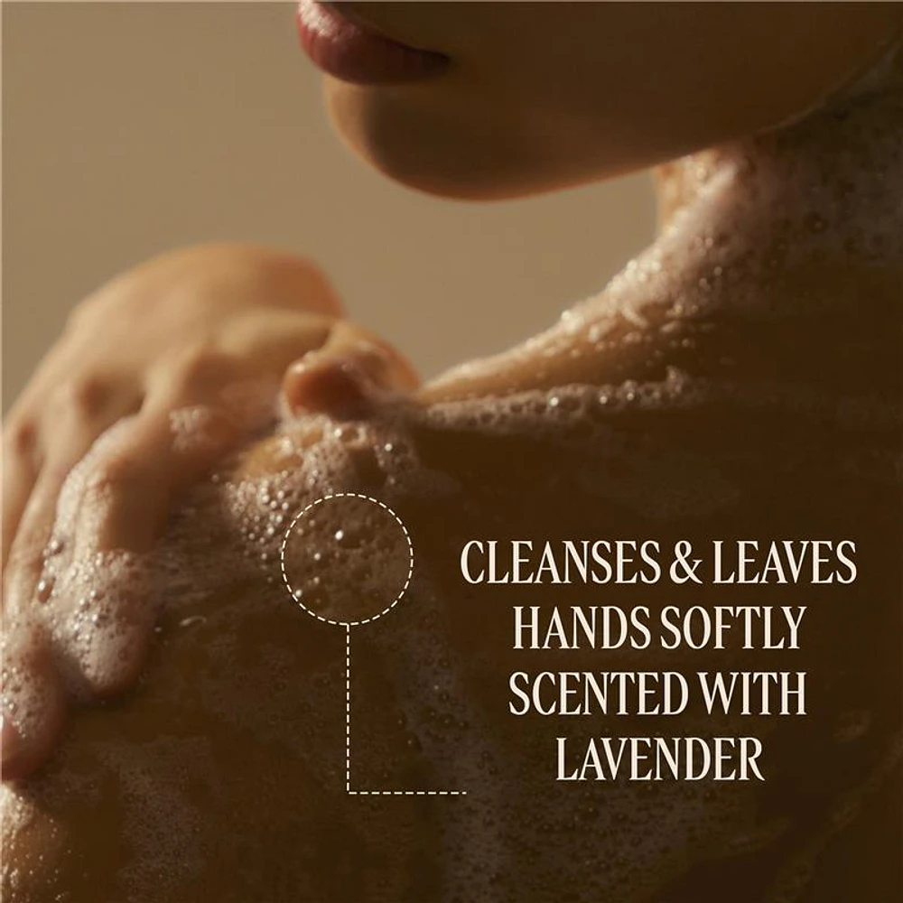 Lavender- Journey to Provence