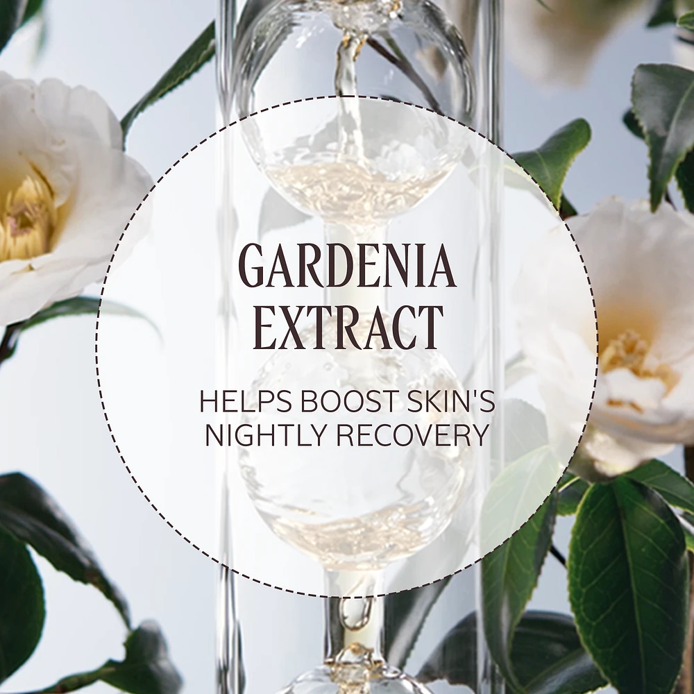 Immortelle Reset and Precious Collection