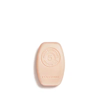 Intensive Repair Solid Shampoo