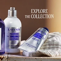 Lavender- Journey to Provence