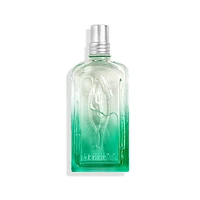 Verbena Carrot Flower Eau de Toilette