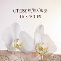 Néroli & Orchidée Ritual
