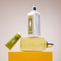 Verbena- Uplift and Invigorate