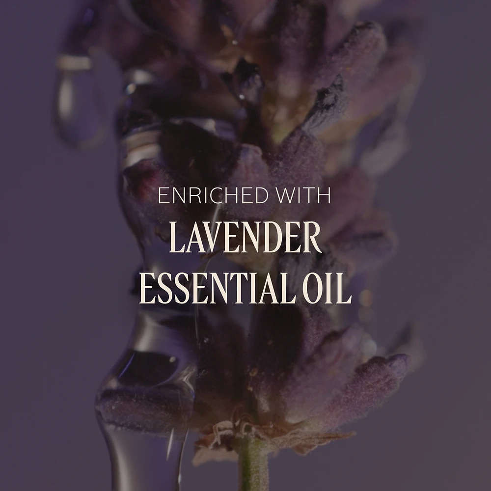 Lavender- Journey to Provence