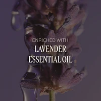 Lavender- Journey to Provence