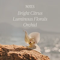 Néroli & Orchidée Hand Cream 75ML