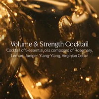 Volume & Strength Conditioner