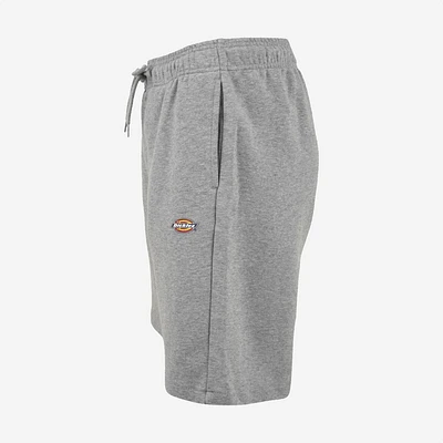 DICKIES CALÇÕES MAPLETON GREY