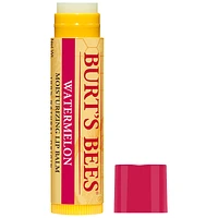 Burt's Bees Moisturizing Lip Balm - 4.25g