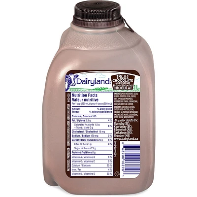 Dairyland Chocolate Milk - 1% - 1L Jug