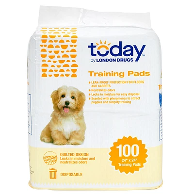 Today by London Drugs Puppy Training Pads - 100's