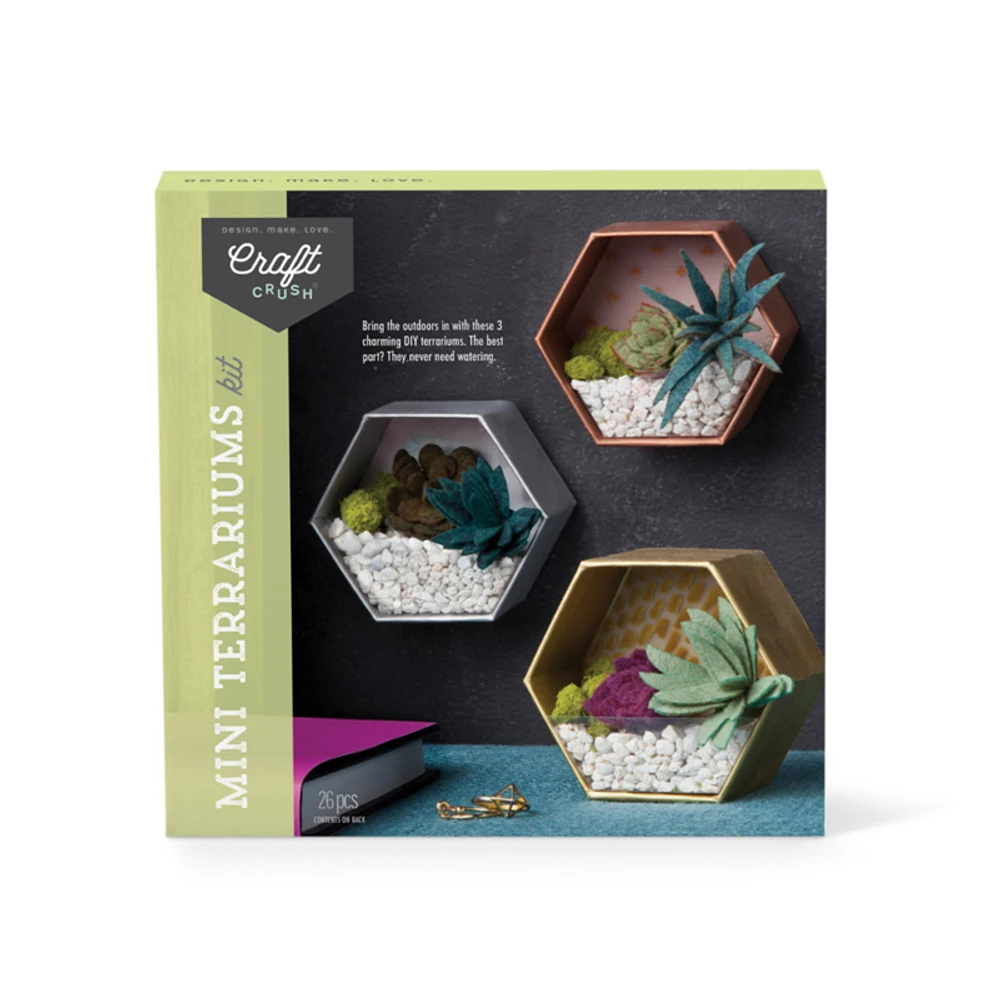 Mini Terrariums Craft Kit