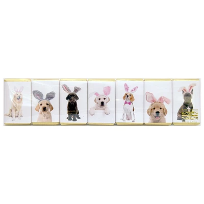 House of Dorchester Chocolates - Dogs/Bunny Ears - 70g