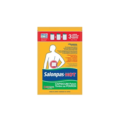 SalonPas Hot Pain Relief Patch - 3's