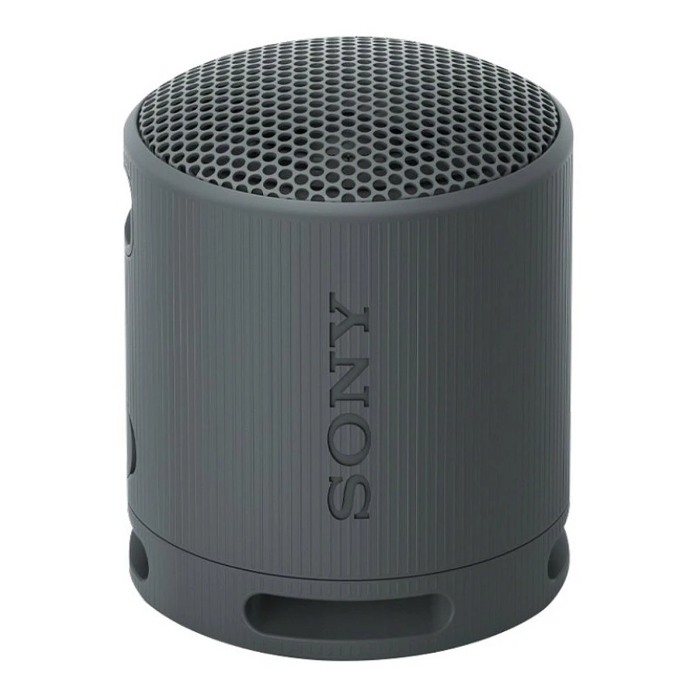 Sony SRS-XB100 Portable Bluetooth Speaker