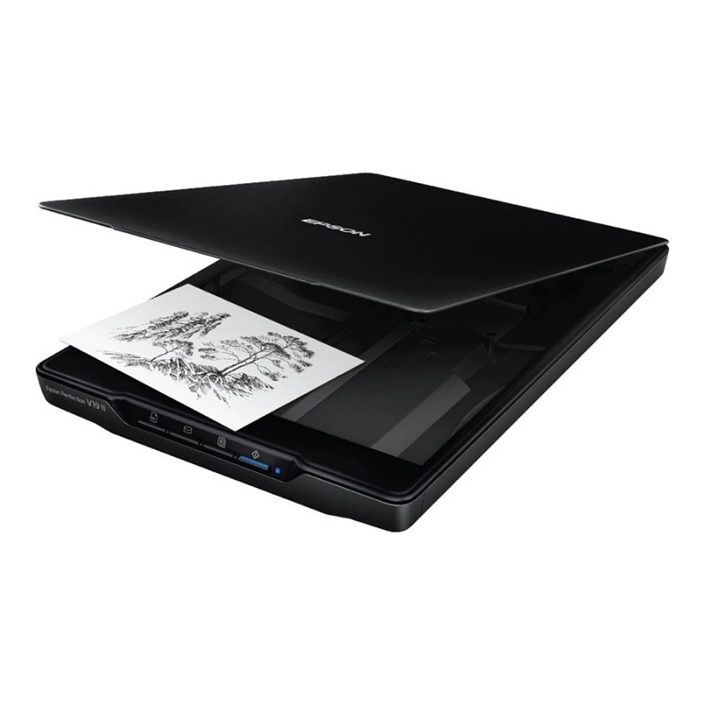 Epson Perfection V19II Flatbed Scanner - B11B267201