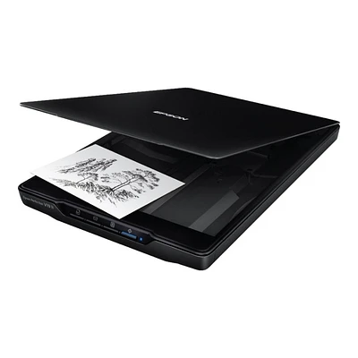 Epson Perfection V19II Flatbed Scanner - B11B267201