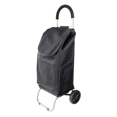 Today by London Drugs Shopping Cart Waterproof Lining - 37X35X94cm