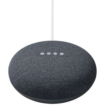 Google Nest Mini Voice Assistant Speaker