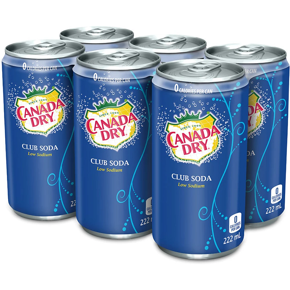 Canada Dry Soda Water - 6 x 222ml