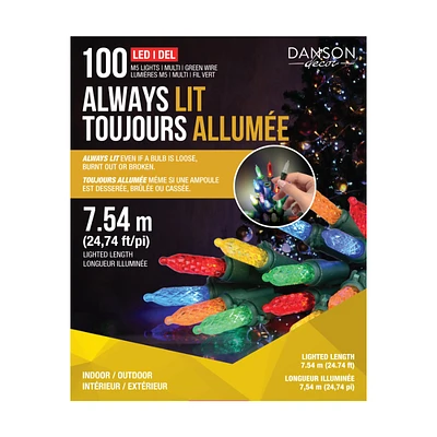 Danson Decor Always Lit LED String Lights - Multicolor - 7.54m - 100 Lights