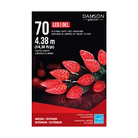 Danson Decor LED String Lights - - 4.38m