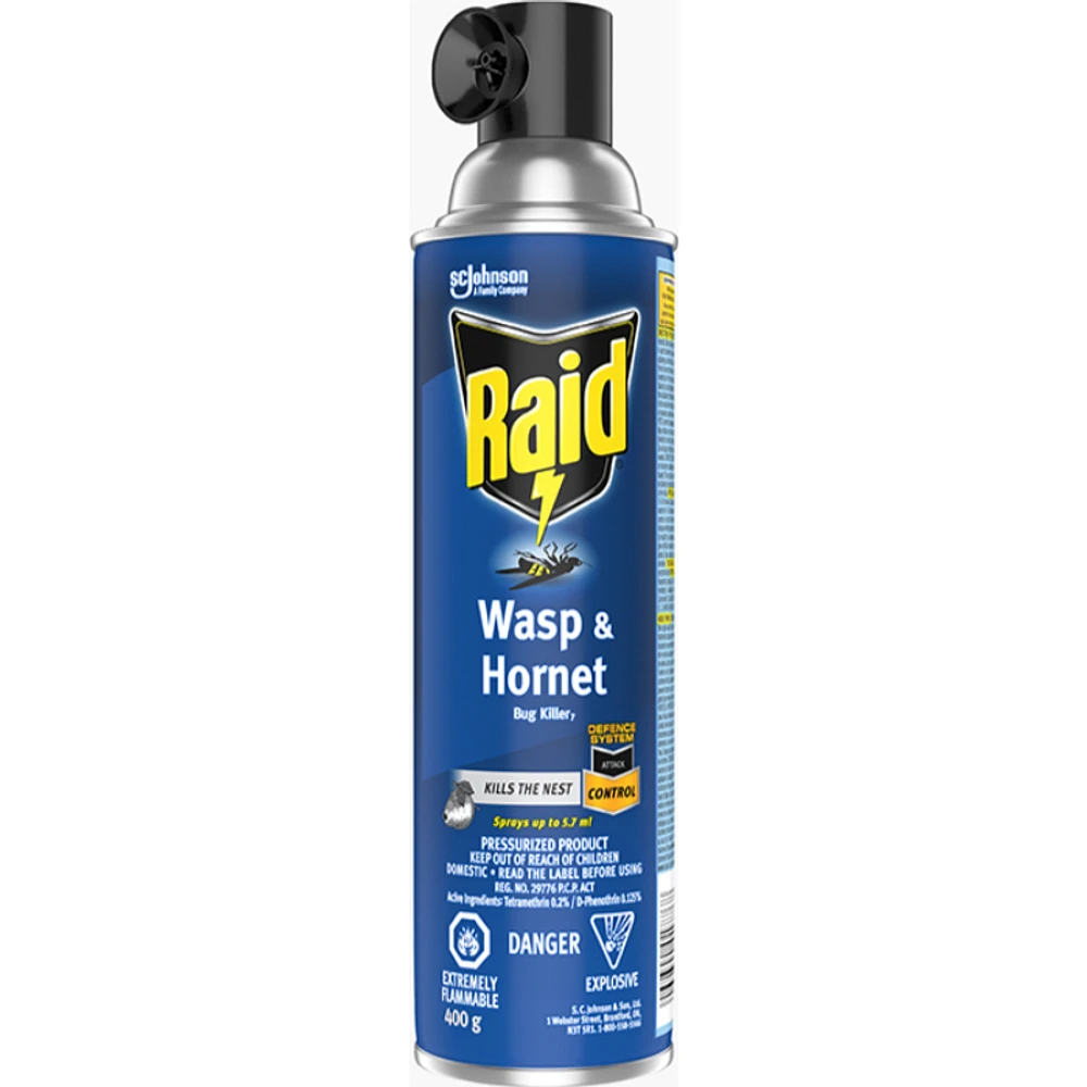 Raid Wasp and Hornet Spray - 400g