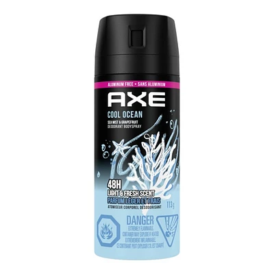 Axe Deodorant Body Spray - Cool Ocean - 113g