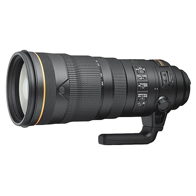 NIKON 120-300MM F/2.8VR      20088