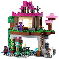 LEGO Minecraft - The Training Grounds