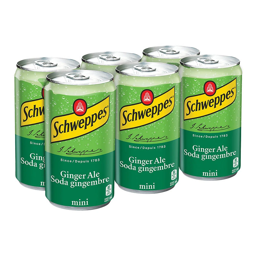 Schweppes Ginger Ale - 6x222ml