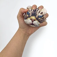 Kikkerland Stress Balls- Feline