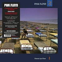 Pink Floyd - A Momentary Lapse of Reason - Vinyl