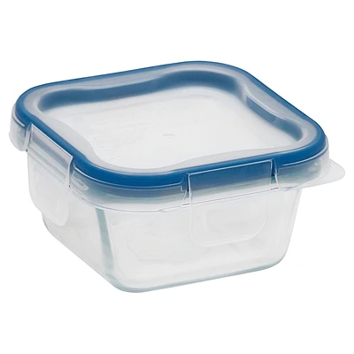 Snapware Total Solution Glass Food Storage - Square - 1 cup