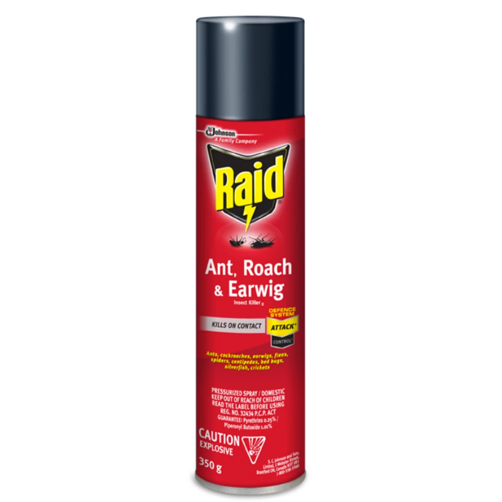 Raid Ant, Roach and Earwig Bug Killer - 350g